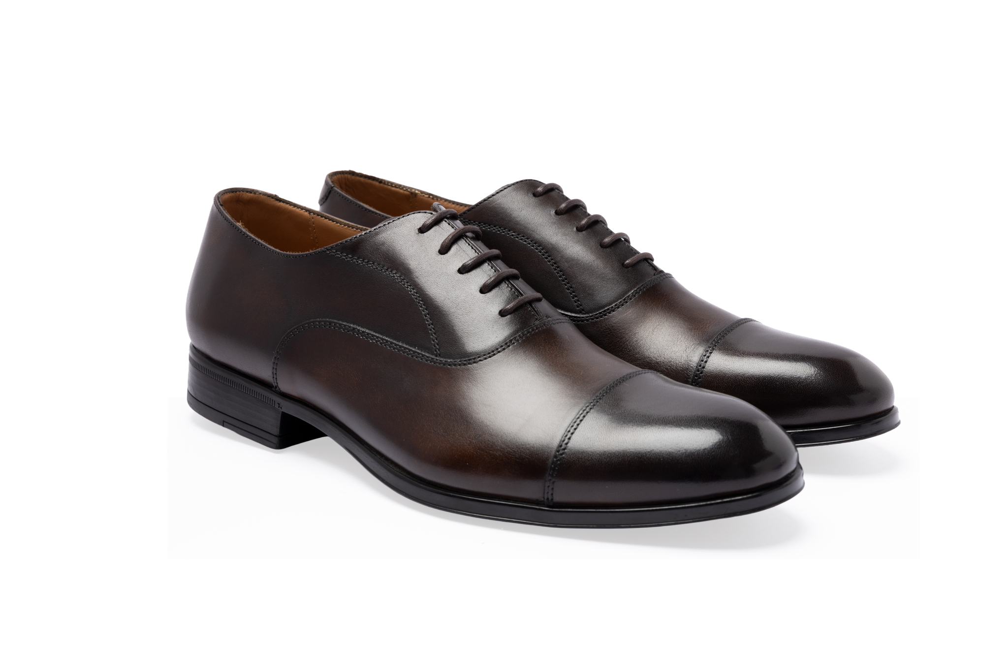 DS6 / DS- Brown