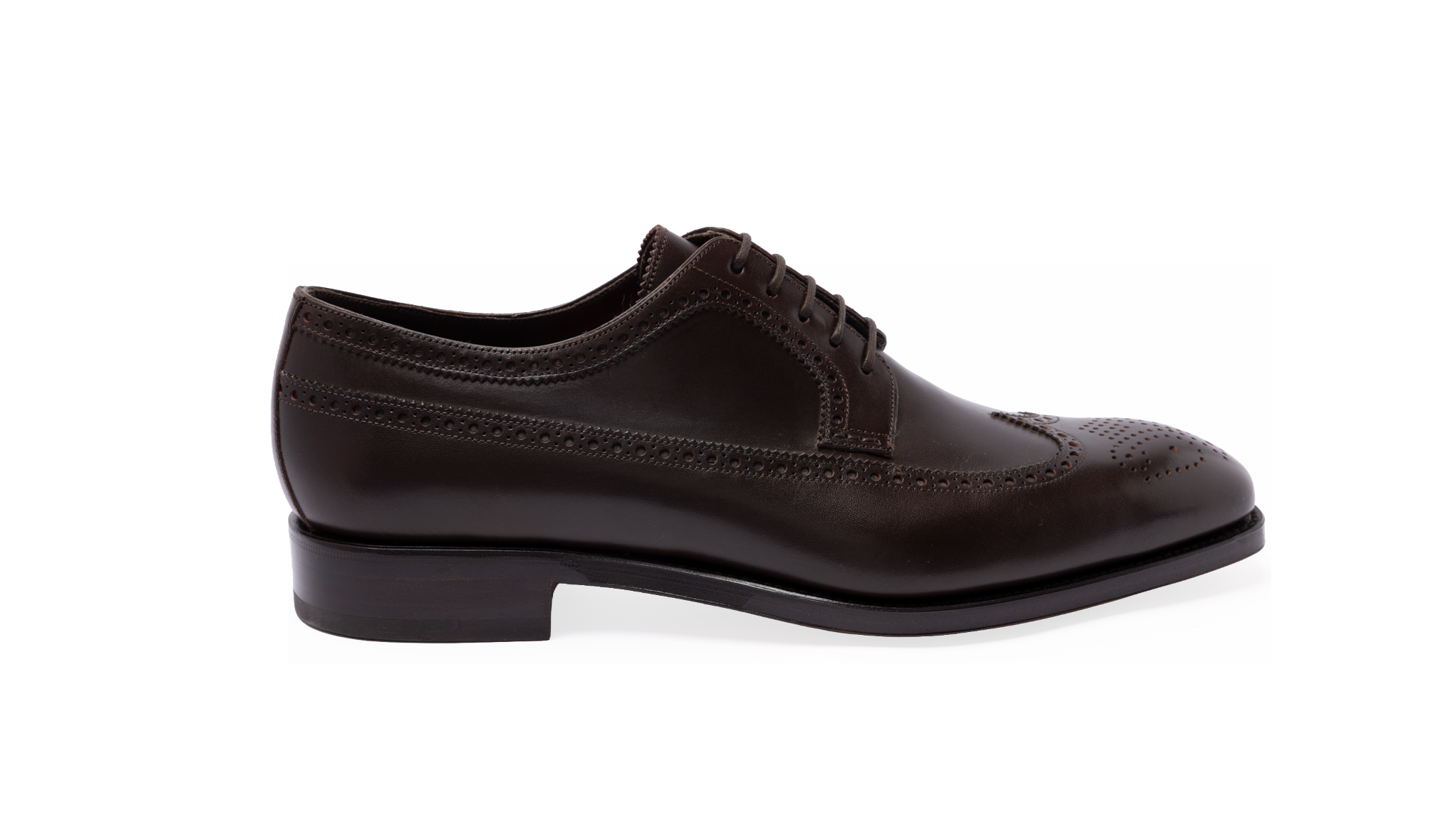 80474- Longwing Derby