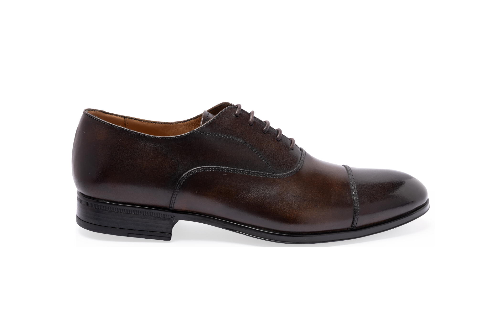 DS6 / DS- Brown